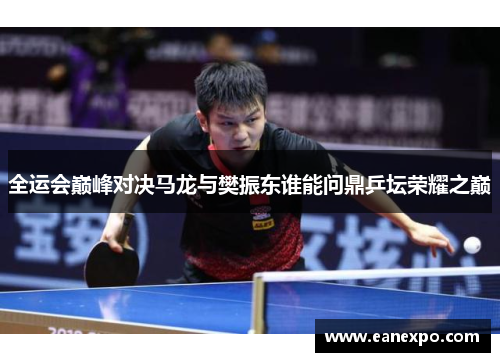 全运会巅峰对决马龙与樊振东谁能问鼎乒坛荣耀之巅
