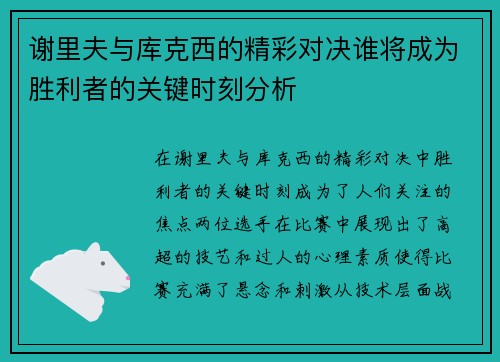 谢里夫与库克西的精彩对决谁将成为胜利者的关键时刻分析